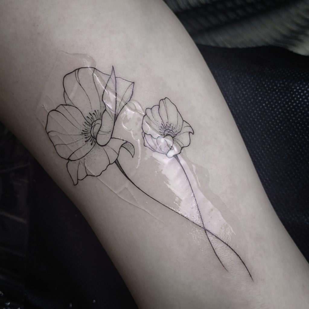 Lumii_20250120_222642620